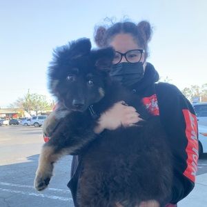 Meet your Posher, Elizabeth